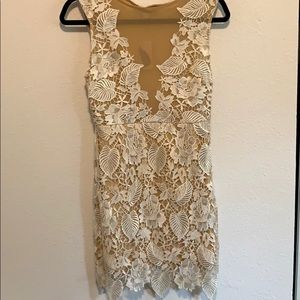 Lace Dress - Great for Bachelorette events!